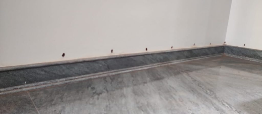 JAS PEST CONTROL SERVICE